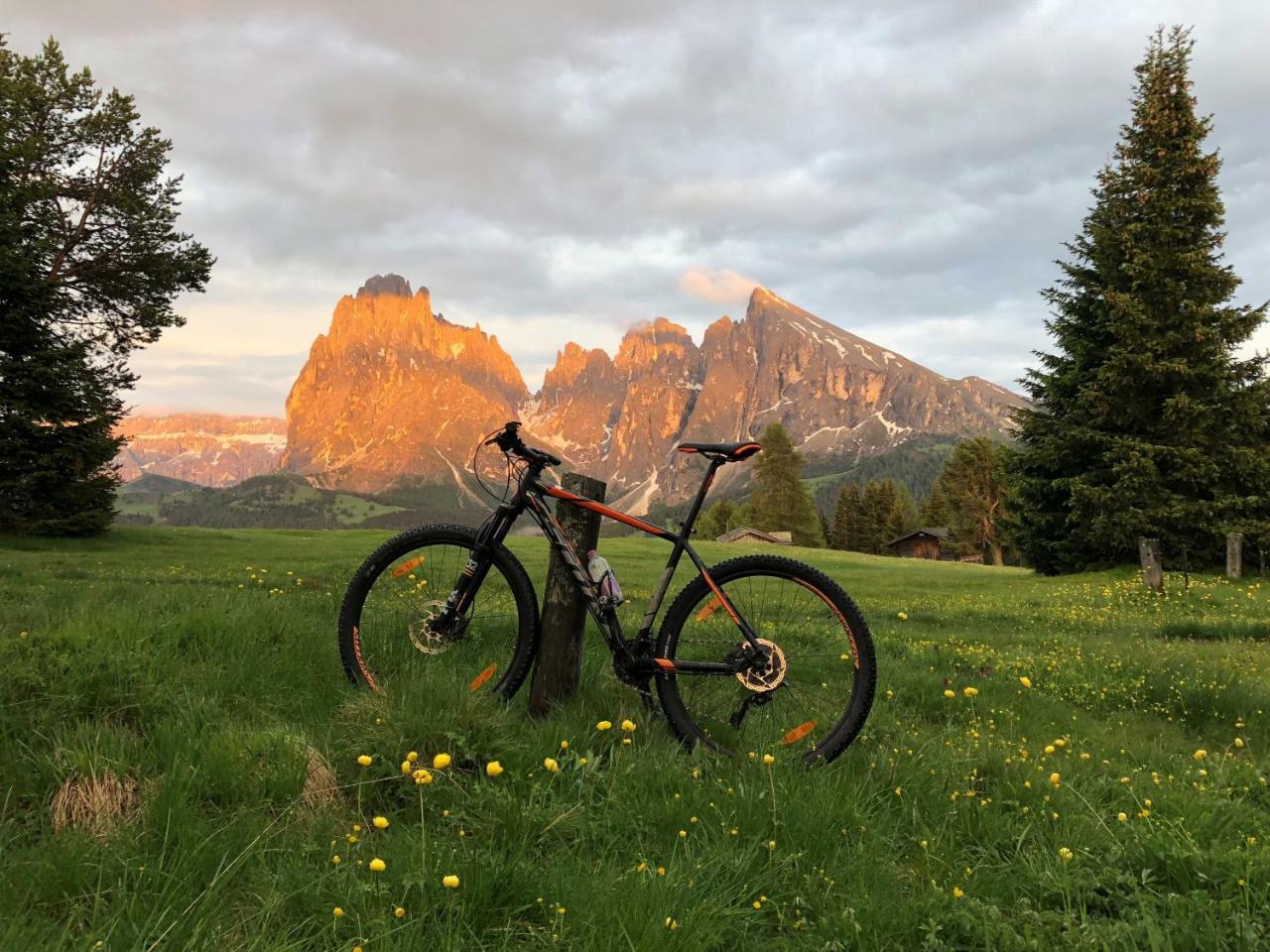 Hotel Saltria - Your Alpine Experience Alpe Di Siusi